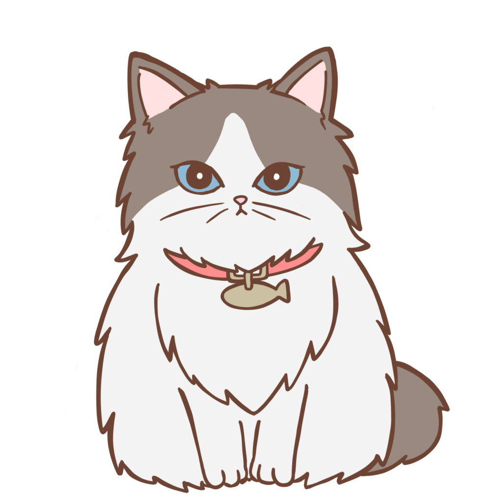 猫